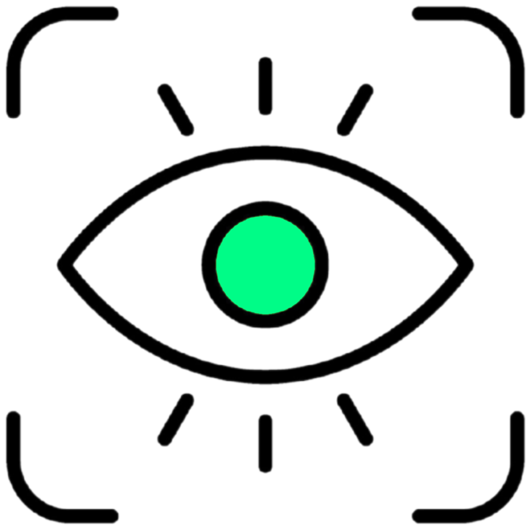 Vision Icon